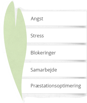 Eksamensangst, flyskræk, migræne, tvangstanker, tvangshandlinger, gymnastik coach, terapi, karen marie holst